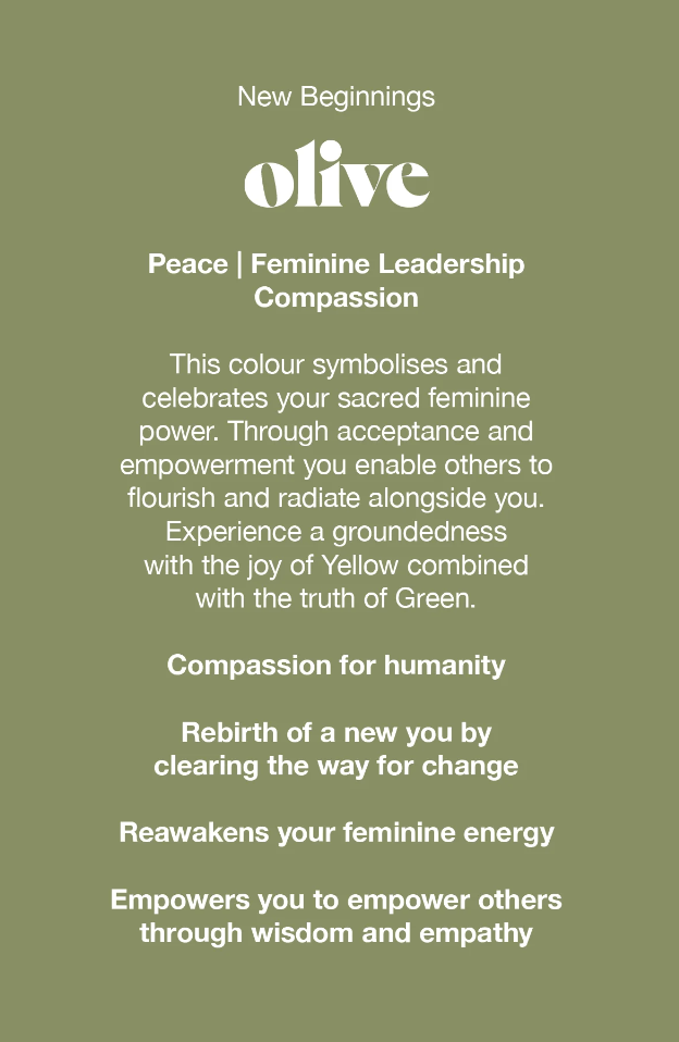 Videris Lingerie Videris Lingerie - Whitney High Waist Knickers Olive Lingerie